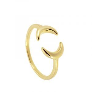 DOUBLE MOON OPENING RING GOLD